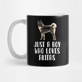 Just A Boy Who Loves Akitas Mug